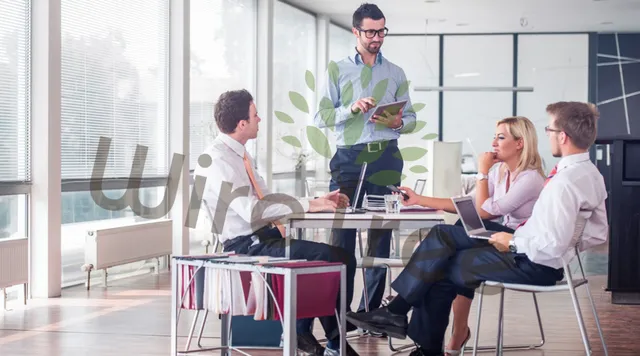 WireTree | Web Design Toronto - Website Design Toronto & SEO Company reviews