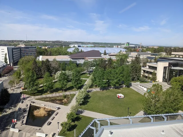 University of Calgary Active Living reviews
