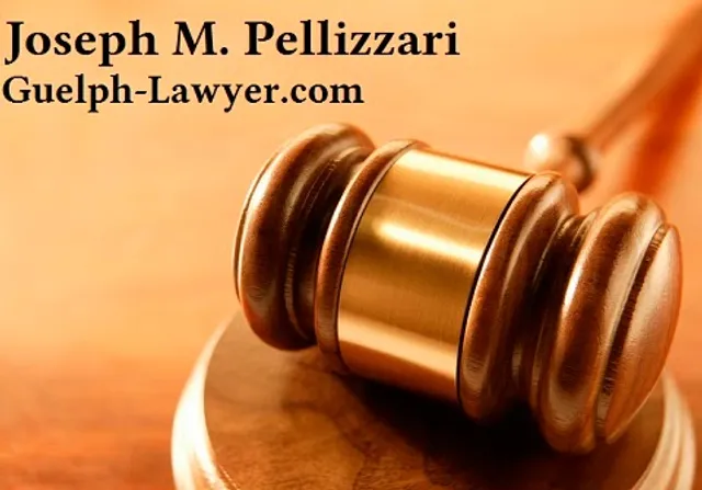 Joseph M. Pellizzari reviews