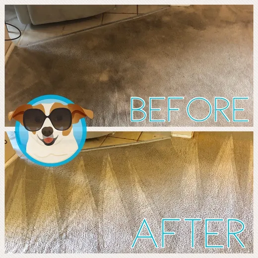 Power Pup Clean reviews
