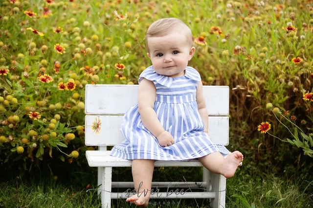 Silver Bee Photography reviews