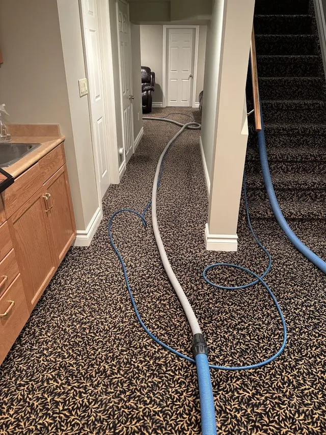 Smartpro Steam Cleaning reviews