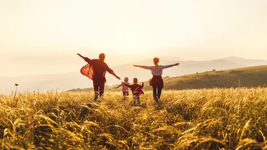 Levin and Pangilinan PC | Business and Family Immigration Firm reviews