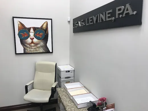 Lisa S Levine, P.A. - Weston Personal Injury and Medical Malpractice Attorney reviews