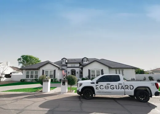 EcoGuard Pest Control reviews