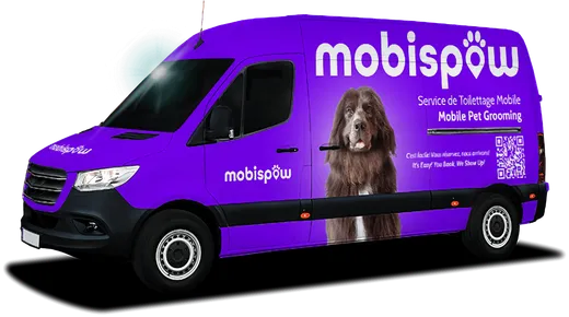 Mobispaw reviews