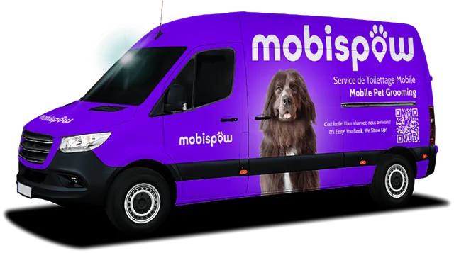 Mobispaw reviews