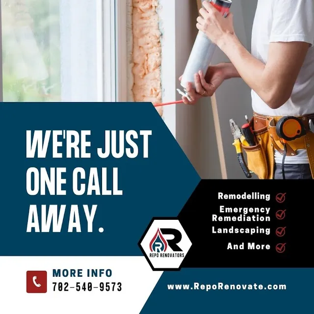 Repo Renovators reviews
