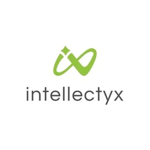 Intellectyx Inc reviews