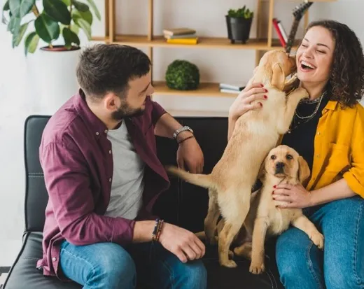 Boston's Best Dog Walkers and Pet Services, LLC (main) reviews