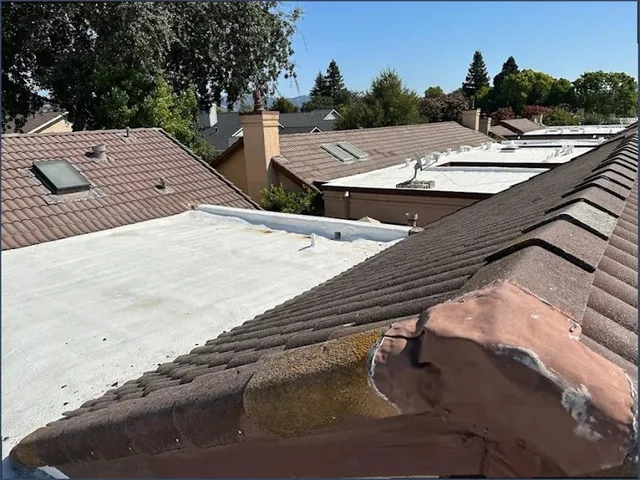 Hernandez & Sons Roofing reviews
