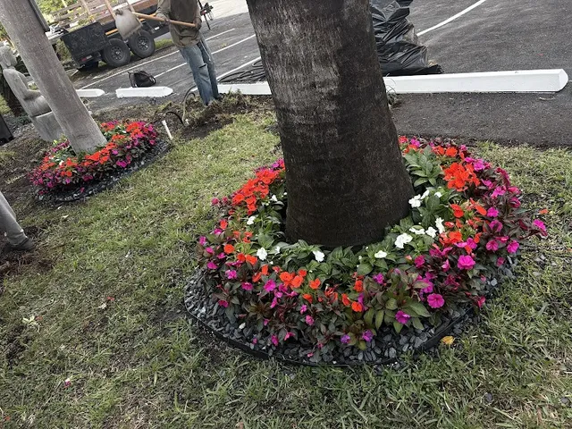 Timber Trees Landscaping Fort Lauderdale | Tree Service, Trimming, Removal, Lawn Care reviews