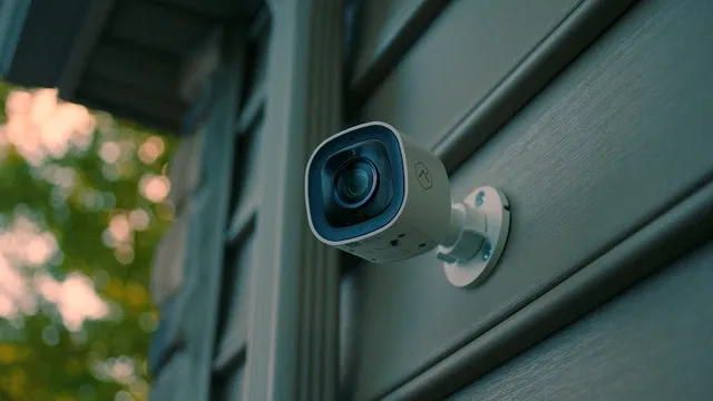 Protectus Security reviews