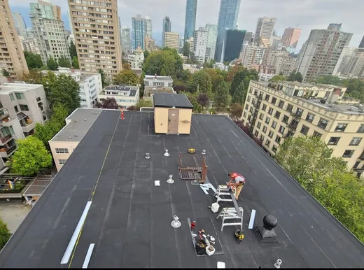 All Star Roofing reviews