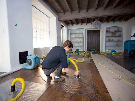 Water Damage Recovery 911 reviews