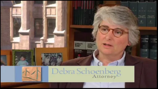 Schoenberg Family Law Group, P.C. - Divorce Attorneys reviews