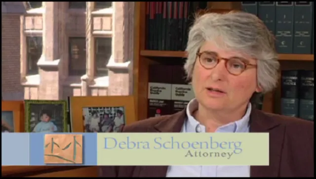 Schoenberg Family Law Group, P.C. - Divorce Attorneys reviews