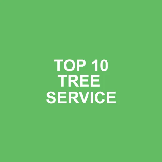 R & J Tree Services LLC reviews