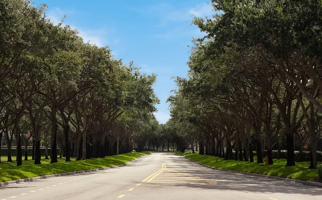 Design & Cut Landscape Services Inc reviews