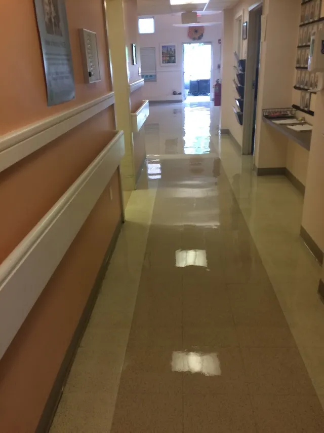 Boston Green Commercial Cleaners & JaMa Professional Cleaning reviews