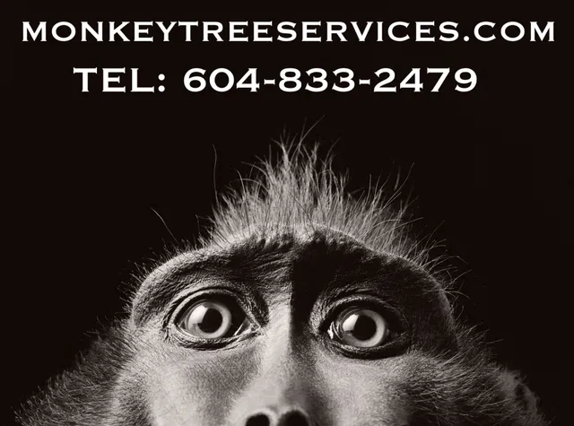Monkey Tree Services Ltd reviews