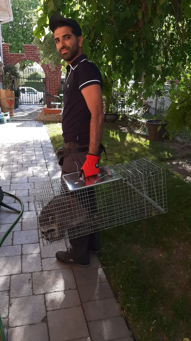 Vanish pest control Inc. reviews