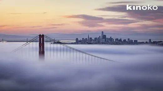 Kevin & Nini Gueco | Kinoko Real Estate | San Francisco Realtors reviews