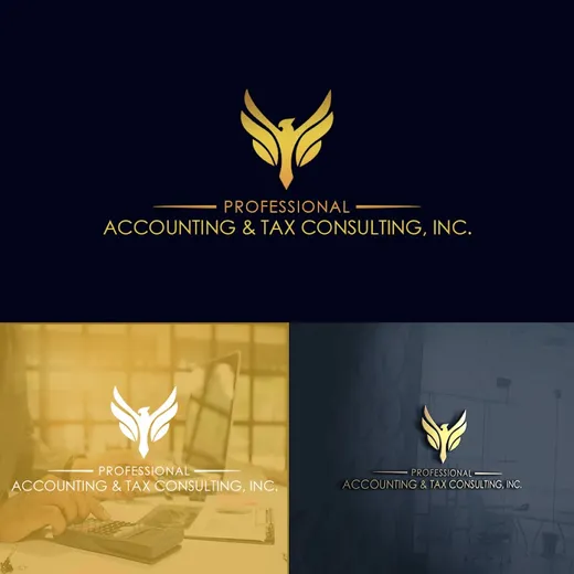 Professional Accounting & Tax Consulting, Inc. reviews