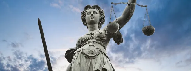 Robert L. Caplan Attorney at Law reviews
