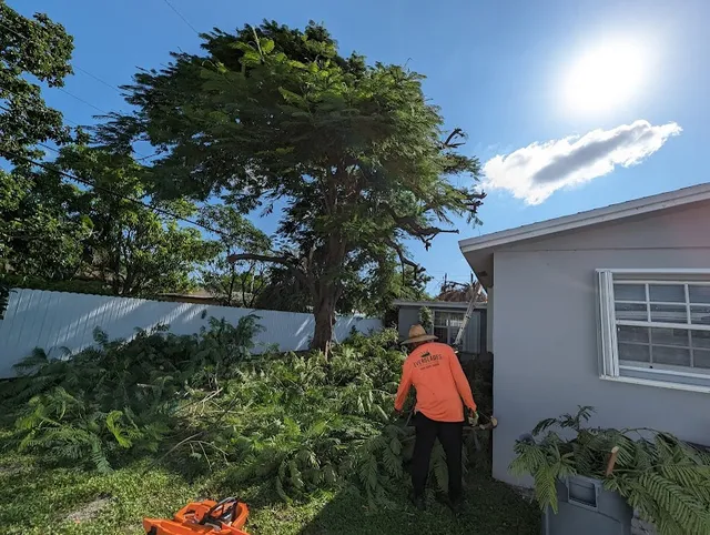 Everglades Lawn and Landscaping reviews