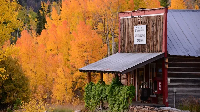 The Cabins at Historic Columbine reviews