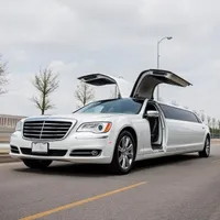 Actionville Limousines And Party Buses reviews