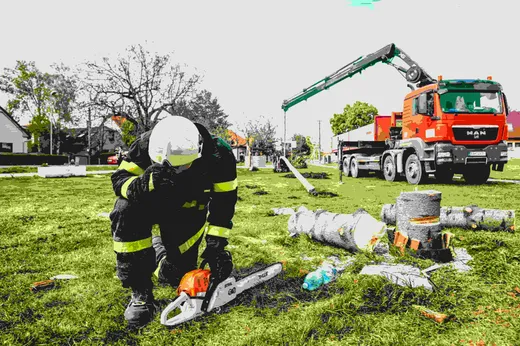 1, 2 Tree Care - Tree Service North Vancouver reviews