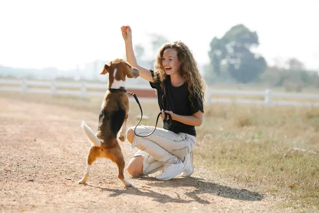 Encore Dog Sports and Doggy Daycare reviews