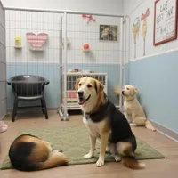 The Second Pup reviews
