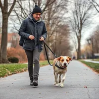Eglinton Dog Walker & Puppy Training Services reviews