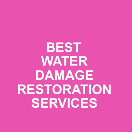 All Dry Services of Broward & Doral reviews