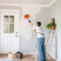 Pro Painting Services reviews