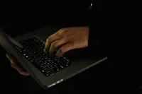 Maplewave reviews