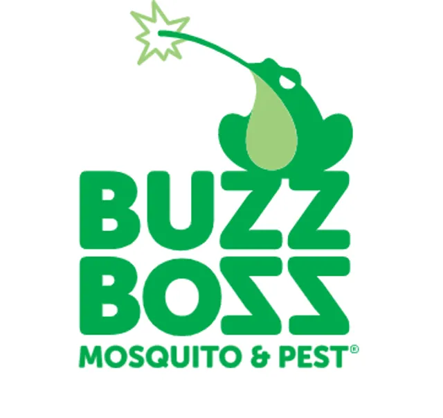 Buzz Boss reviews