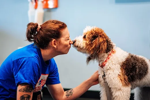 Zoom Room Dog Training - Overland Park reviews