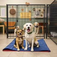 Cumberland Veterinary Clinic reviews