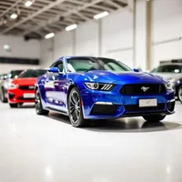 Drive 512 Auto Ranch reviews