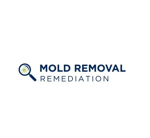 Mold Removal Remediation reviews