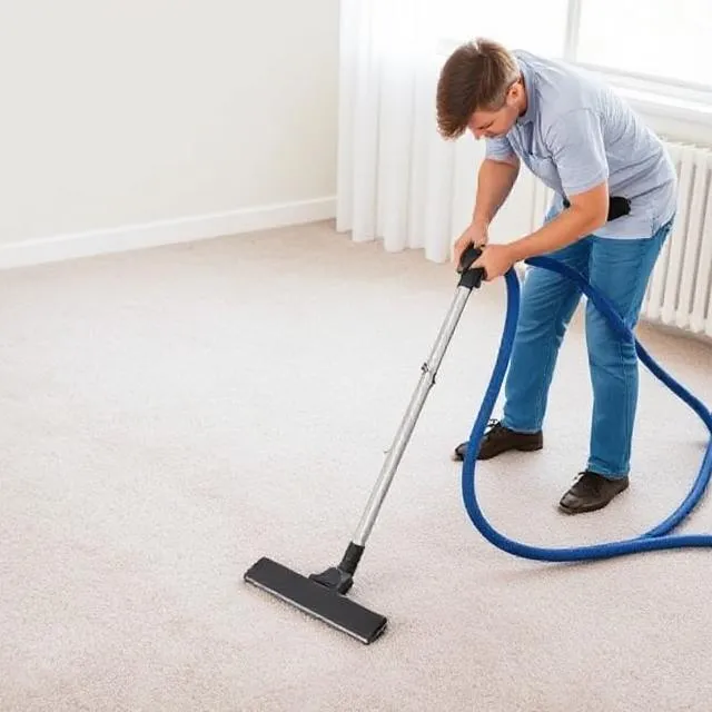 Deluxe Dye Works & Area Rug reviews
