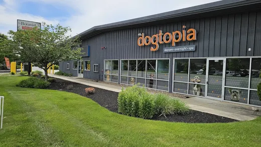 Dogtopia of North Worcester reviews