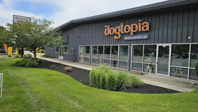 Dogtopia of North Worcester reviews