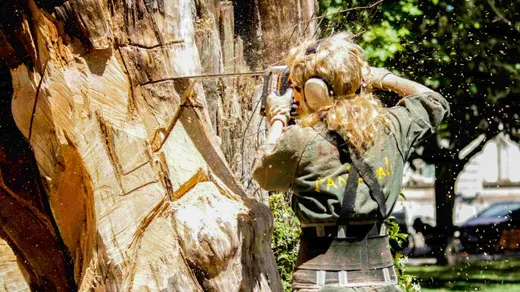 Green Thumb Tree Specialists Inc. & Tree Removal Ottawa reviews