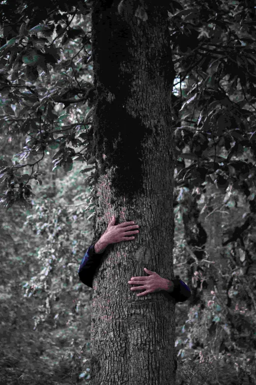 Heritage Tree Service reviews