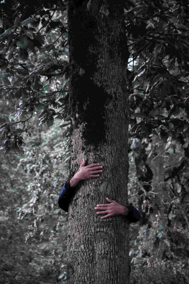 Heritage Tree Service reviews